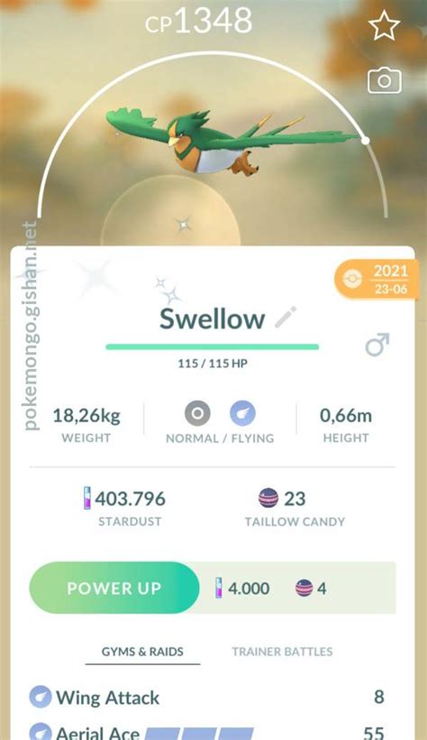 swellow pokemon go|swellow pokemon evolution.